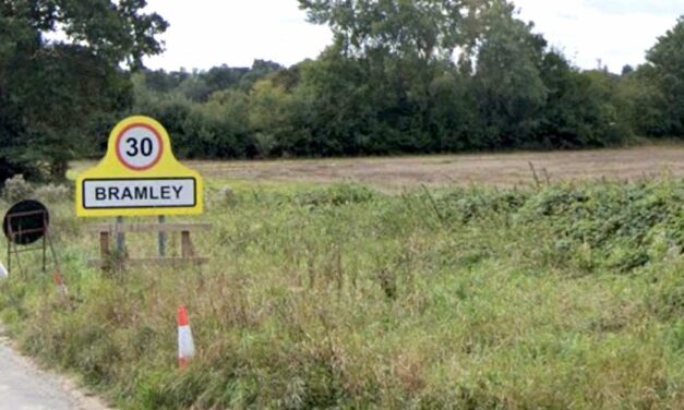 Plans for up to 100 homes revealed