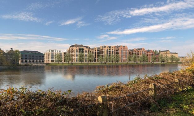 Reselton Ltd wins Stag Brewery appeal