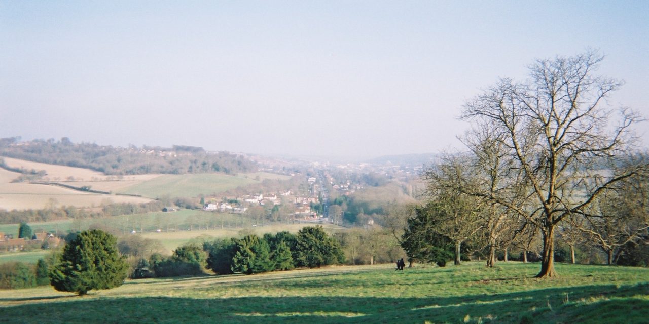 Inspector says councils failed to engage