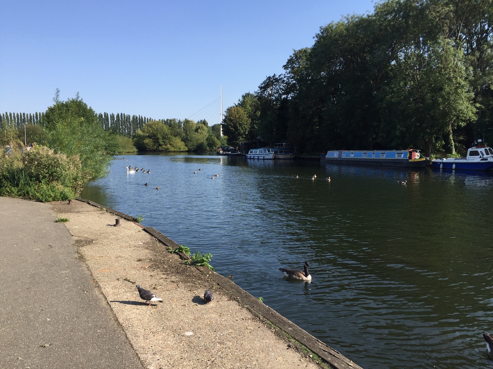 View from the riverbank Will regenerated Bracknell survive? UK