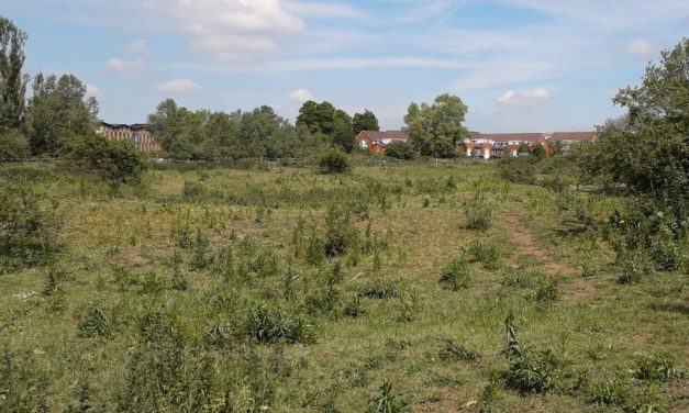 Report concludes homes can go ahead on landfill site