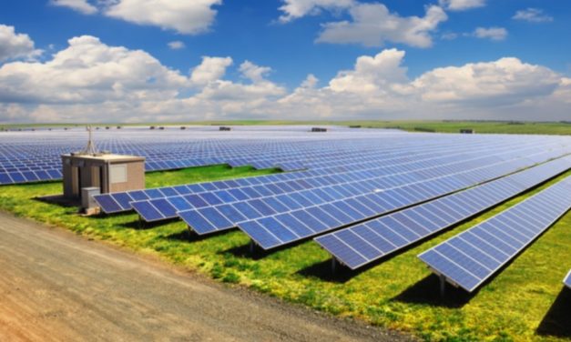 Sun rises on Cambridgeshire’s solar energy market