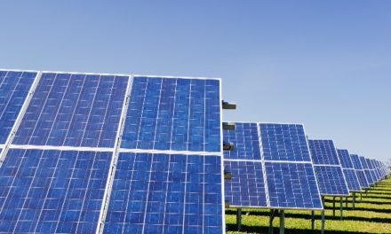 University of Cambridge shines light on new solar farm to reduce carbon footprint