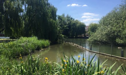 View from the riverbank: The Green Belt or the green collar?