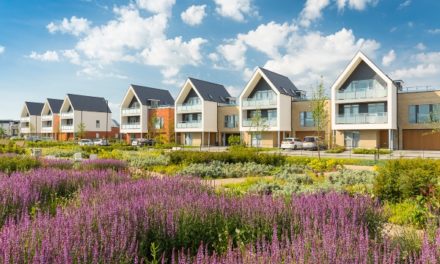 Net zero carbon homes agreed for Chelmsford