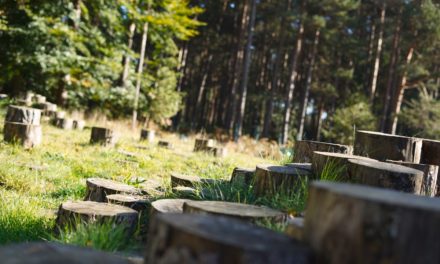 Cala hands a forest to the Land Trust