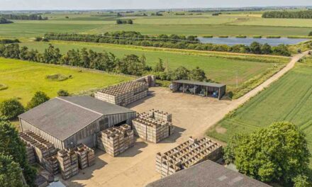 ‘Significant’ fenland arable farm on the market for £13.5m