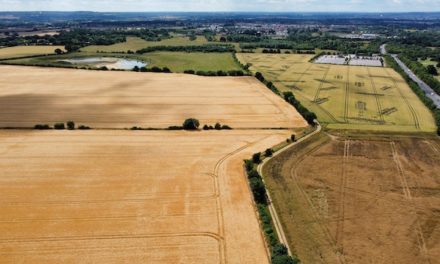 Land sales could lead to 1,200 new homes on edge of Chelmsford