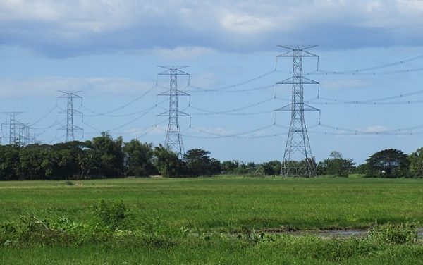 Suffolk Council objects to Norwich to Tilbury pylon proposals