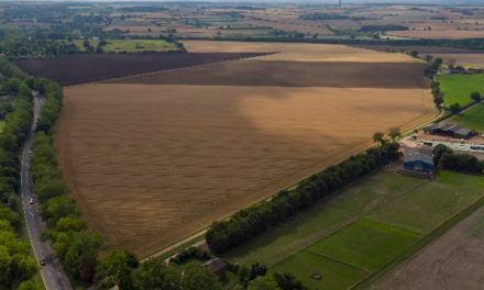 Savills completes almost £500m of land sales across East of England in 2021