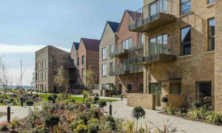 Hill Group reports record profits again