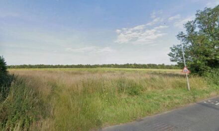 Savills’ land deal set to help deliver 180 homes