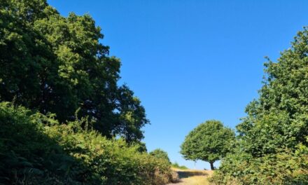 Ealing’s Regional Park receives £1m injection