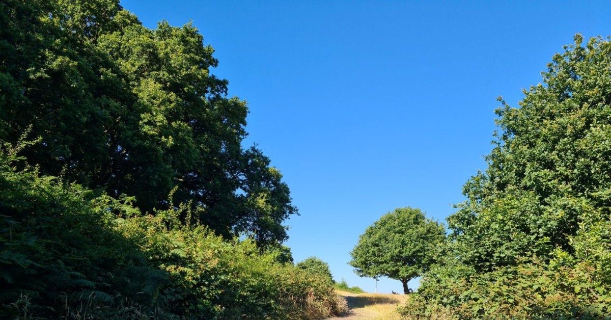 Ealing’s Regional Park receives £1m injection