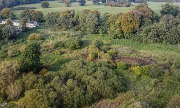 8.5-acre site for 55 homes goes on sale with Savills