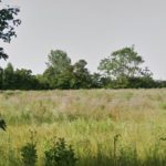 Reserved matters for 188-home development in Halesworth
