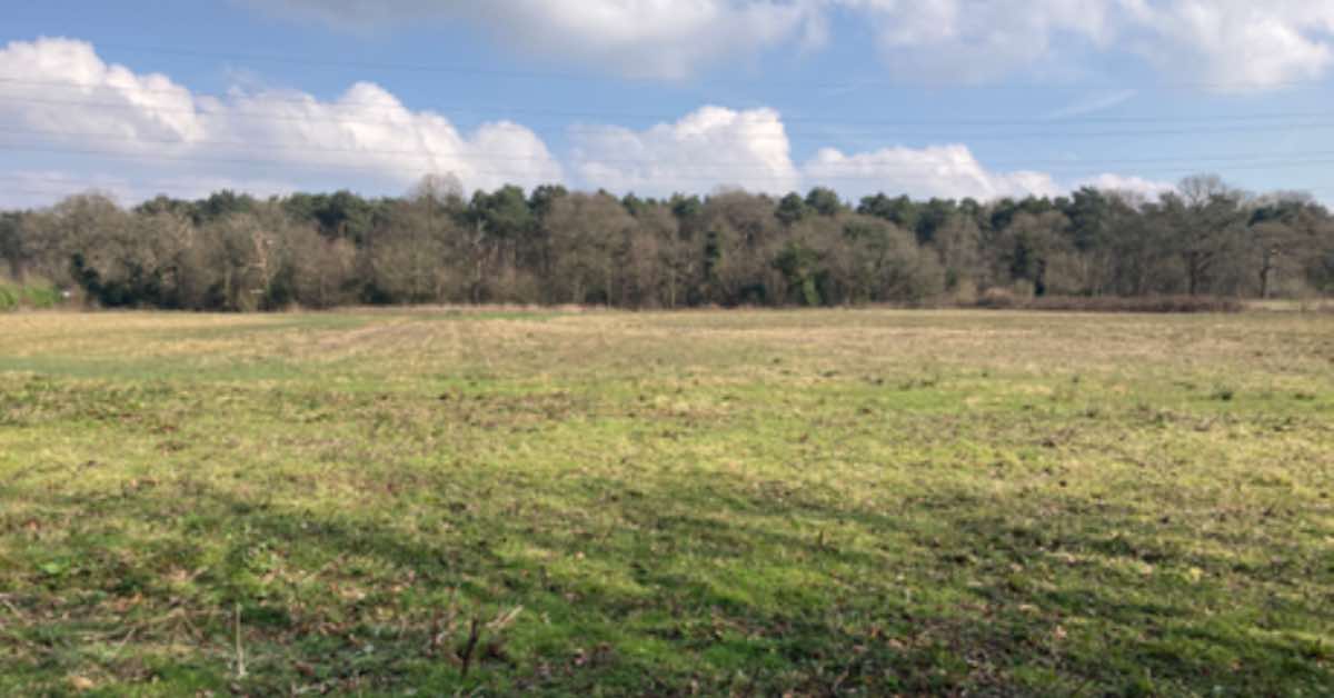 New science park and homes under consultation