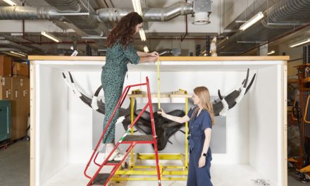 Natural History Museum plans new base at Thames Valley Science Park