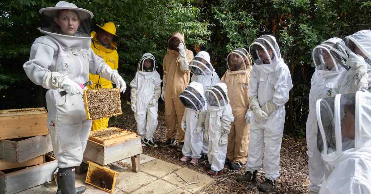 Occupiers meet the bees at Milton Park