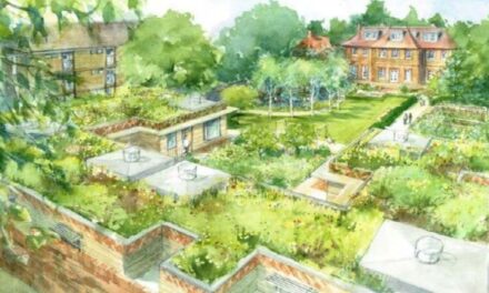 Charity given green light for sheltered accommodation