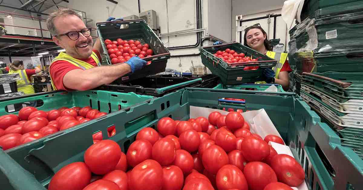 SEGRO staff volunteer across the region