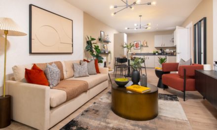 Reach for the Sky Plaza apartments