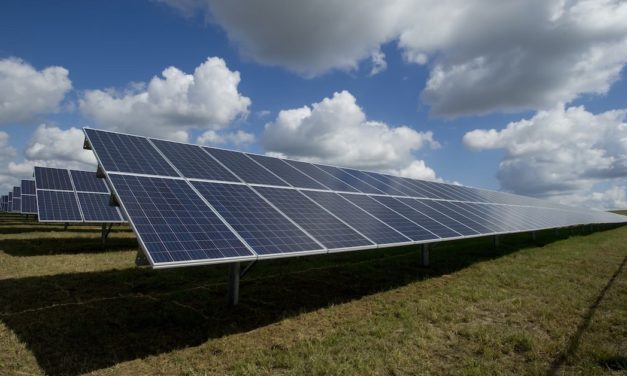 Council blocks ‘green trojan horse’ solar farm near Ipswich