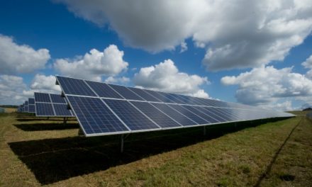 Green light for Suffolk solar farm