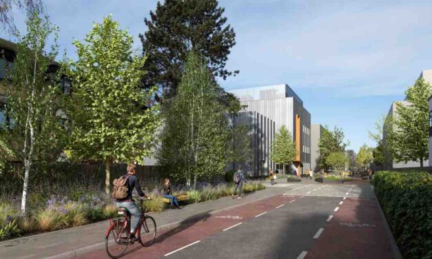 Redevelopment approved for The Paddocks