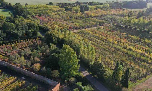 Urban&Civic acquires Todd’s Nursery