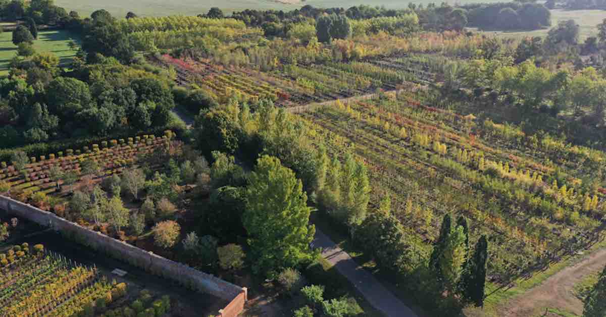 Urban&Civic acquires Todd’s Nursery