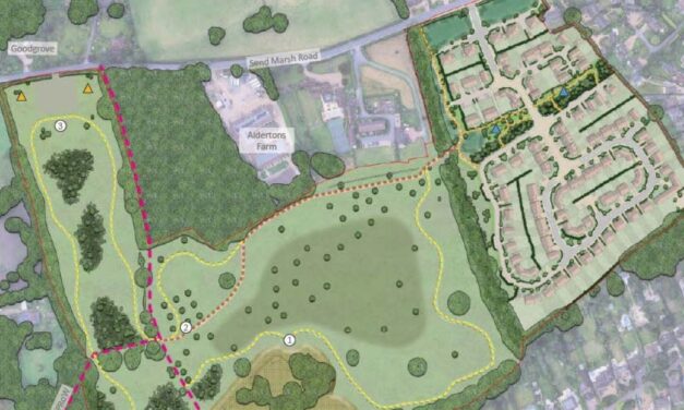 Farmland seen as grey belt sees hybrid application approved