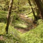 Strategy to help nature thrive across East Sussex launches