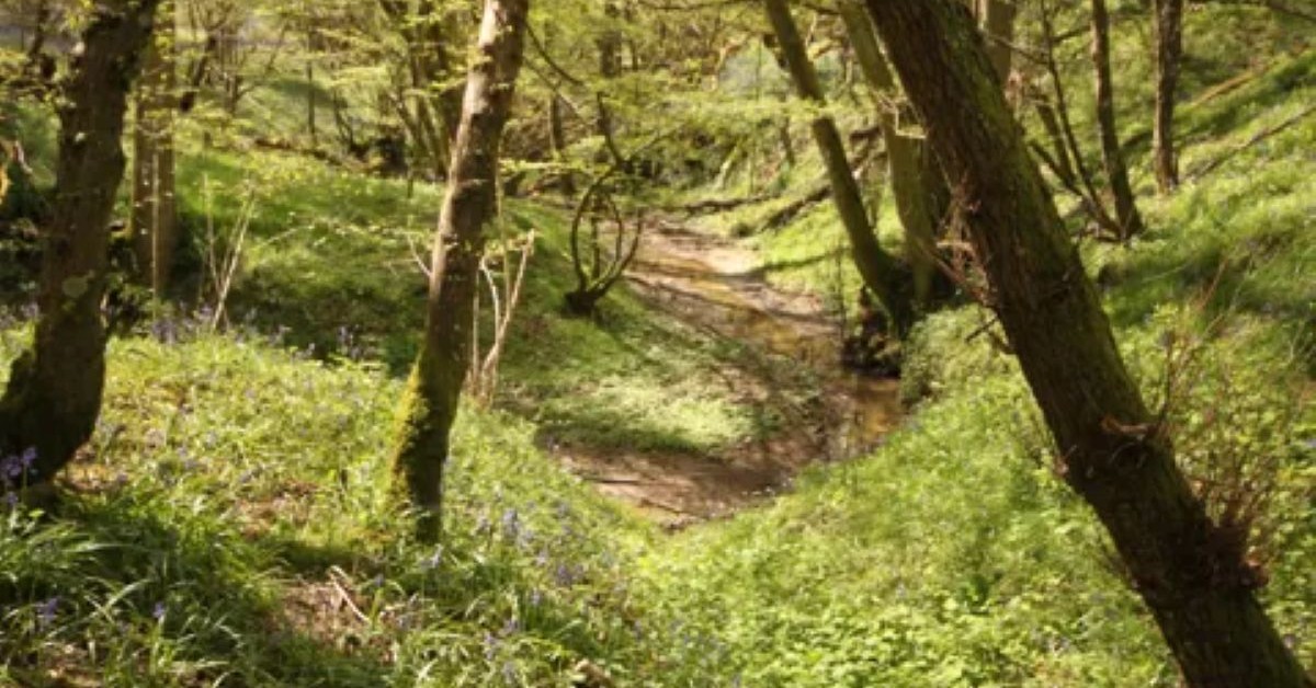 Strategy to help nature thrive across East Sussex launches