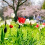 Kew experts warn West London climate to be the same as Barcelona