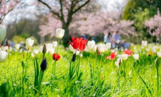 Kew experts warn West London climate to be the same as Barcelona