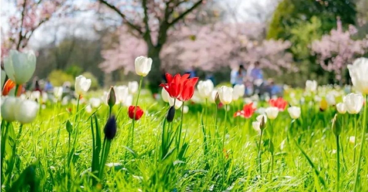 Kew experts warn West London climate to be the same as Barcelona