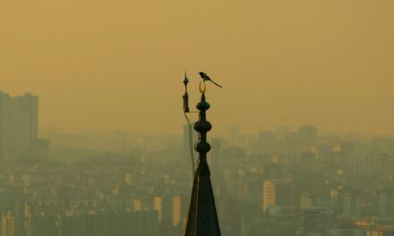 Wandsworth receives £4.5m decarbonisation grant