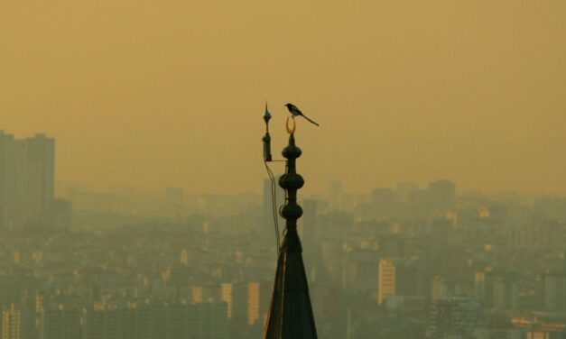 Wandsworth receives £4.5m decarbonisation grant