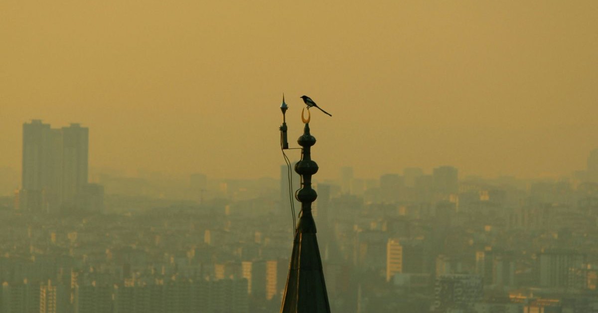 Wandsworth receives £4.5m decarbonisation grant