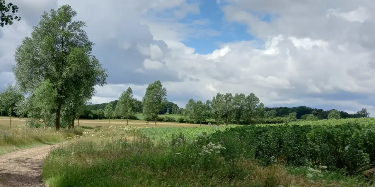 New 173-acre BNG site launched at Braxted Park, Essex