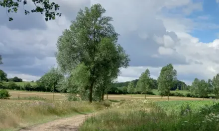 New 173-acre BNG site launched at Braxted Park, Essex