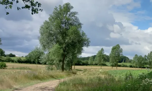 New 173-acre BNG site launched at Braxted Park, Essex