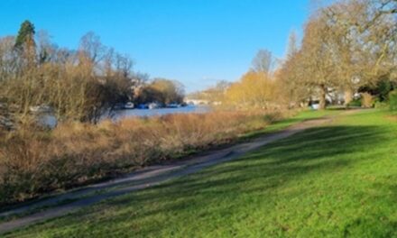 LBRUT propose new wetland areas