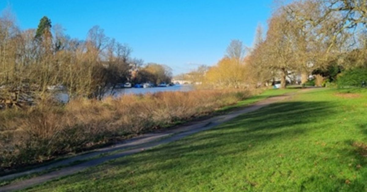 LBRUT proposes new wetland areas