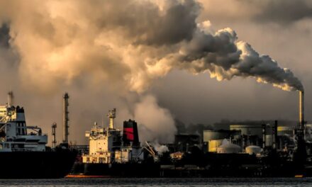 Hounslow publishes first Climate Change Resilience Plan