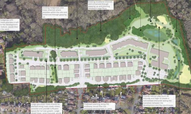 Second refusal awaits plan for 121 homes and a care home