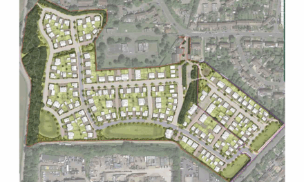 Haslams completes 200-home land sale