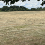 Farmers amongst buyers as East of England sees rise in farmland for sale