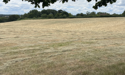 Farmers amongst buyers as East of England sees rise in farmland for sale